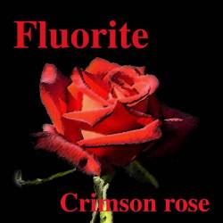 Fluorite : Crimson Rose